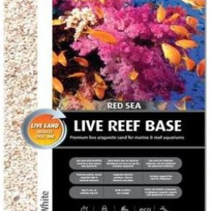 Red Sea - Live Reef Base
